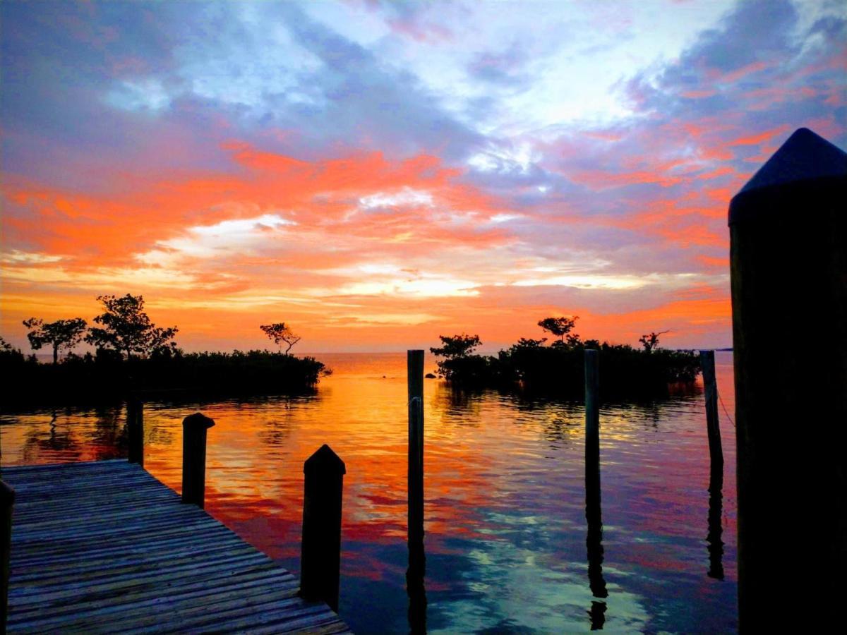 Conch Key Fishing Lodge & Marina Экстерьер фото